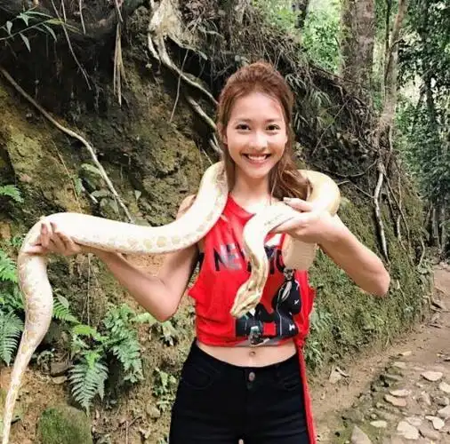 越南20岁美少女拳击手霸气玩蛇拍照 外表清纯内心强大!