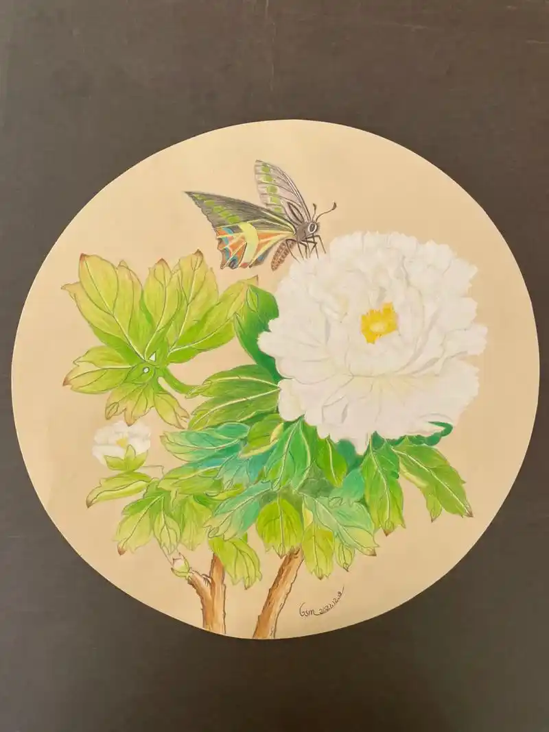 彩铅画牡丹花开