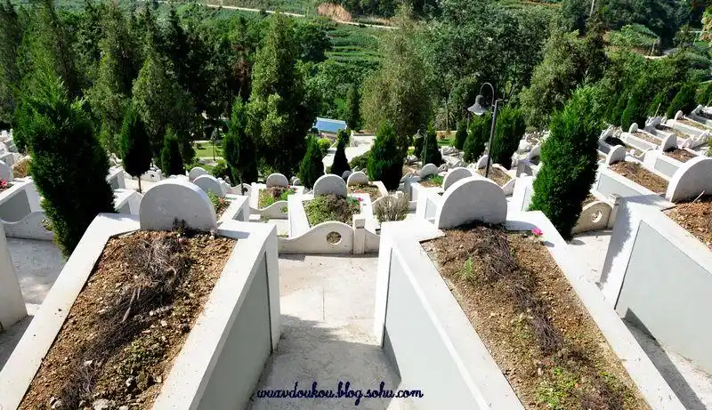 八一前的追思一段历史一段刻骨铭心的岁月——麻栗坡烈士陵园有感