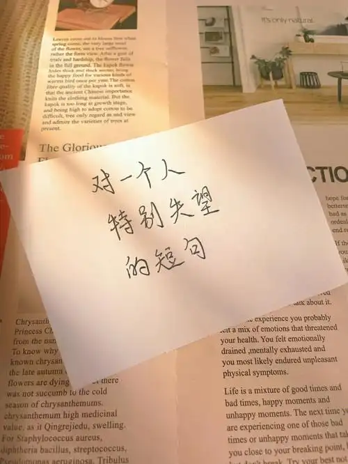 对一个人特别失望的短句