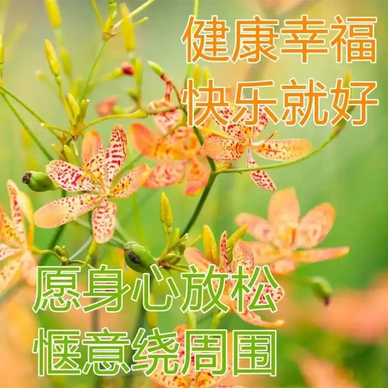 清晨早上好漂亮清新问候语图片,朋友圈早安正能量阳光问候语录送你!