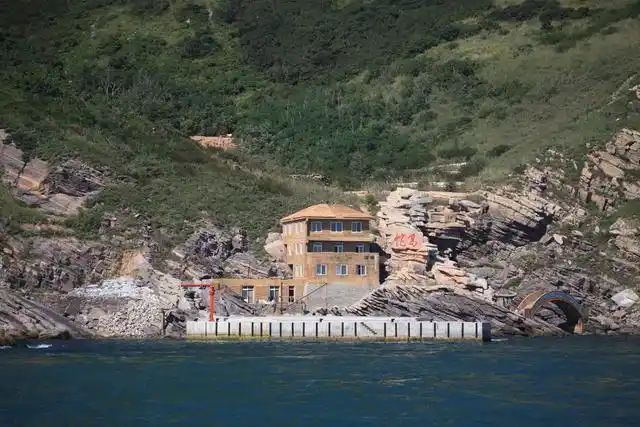 大连蛇岛为何有那么多毒蛇?1平方多公里,隐藏近2万条毒蛇