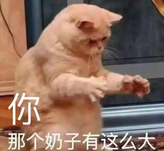 你那个奶子有这么大_奶子_那个_这么表情