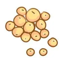 黄豆简笔画黄豆简笔画卡通图片