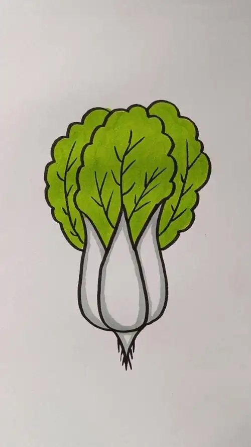 用字母w画小白菜#儿童画 #简笔画 #创意 #亲子陪伴 #一学就会系列