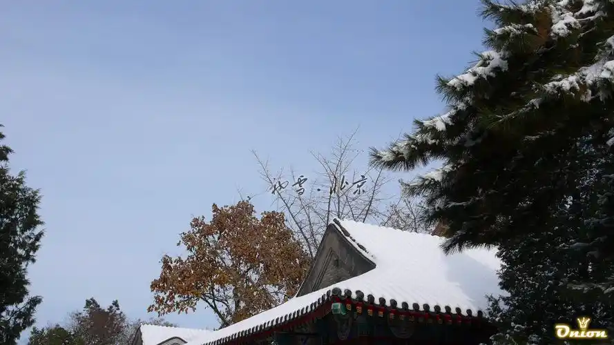 照片其实是09年北京初次下雪那段时间拍的,09北京的雪来得特早,11月1