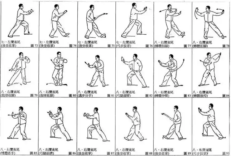 陈氏太极拳24式分解图