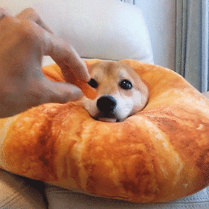 320_320gif 动态图 动图