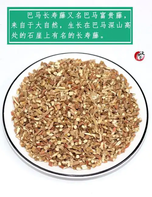 巴马长寿藤茶富贵藤广西特产茶小甘草清心腾滕茶500g新货精美瓶装500