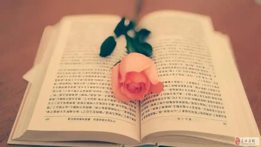 一本书,一枝花,一杯茶,明艳了一段时光.