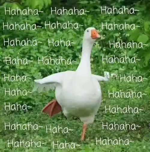 hahaha 哈哈哈 - 鹅鹅鹅~ 肥鹅表情包_鹅表情