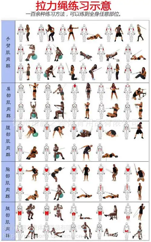 运动装备 健身器材用品 拉力器,握力器 乳胶弹力绳健身扩胸器男女多