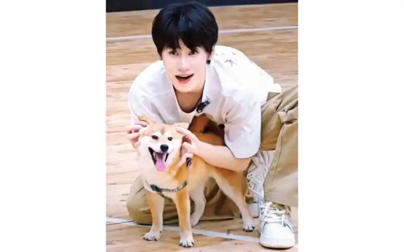 【张真源reaction】可爱的张氏父子真源呼安,妈妈爱你们!