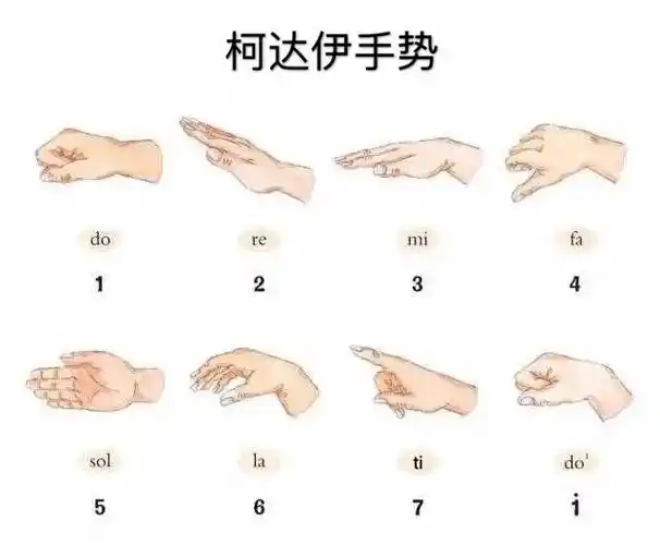 复习柯达伊手势