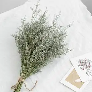 网红情人草干花云南天然风干花束diy插花小清新家居装饰跨境干草