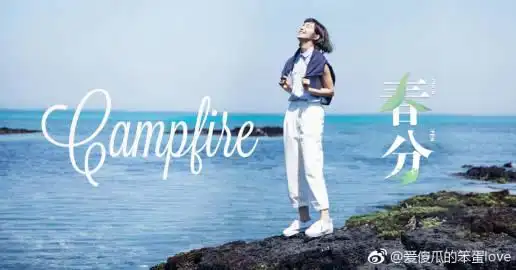 爱傻瓜的笨蛋love