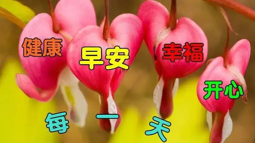 2020清晨最美早上好动画表情图片带字句句暖心的早安祝福语