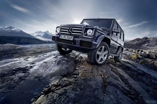 新款奔驰g500正式上市 4.0t/售169.8万_太平洋汽车网