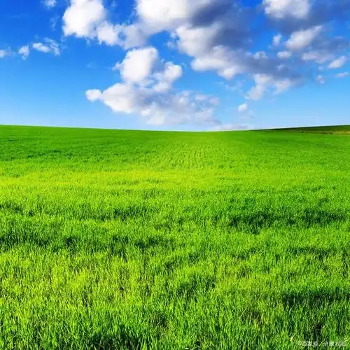 芳草碧连天.——近代:李叔同《送别》