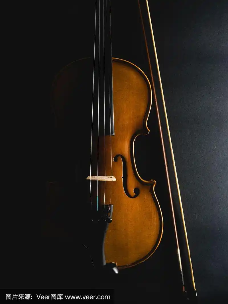 裁剪图像的小提琴对黑色的背景