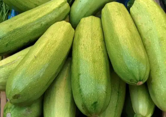 葫芦瓜怎么做好吃