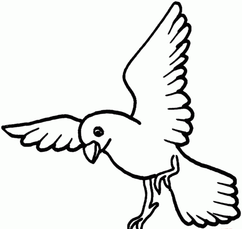 飞翔的鸟简笔画