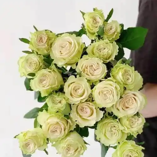 【昆明发货】逸禾玫瑰琉璃翠(9-10枝),60cm,此品种不会太开,打包会