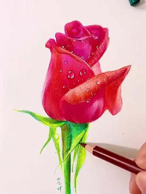 超美的彩铅玫瑰花这没来学就可惜了哦