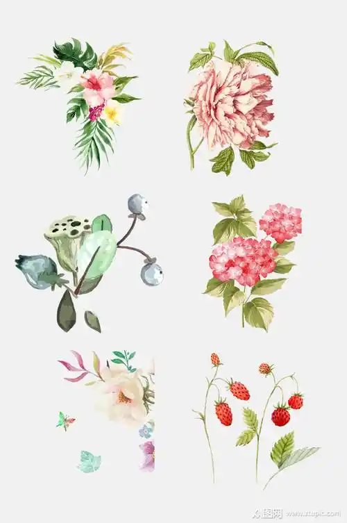 水彩手绘鲜花花朵花环免抠素材