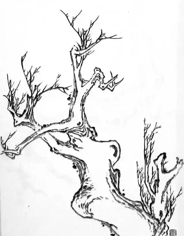 虬曲苍劲,力争岁月的老庄树干!范本!
