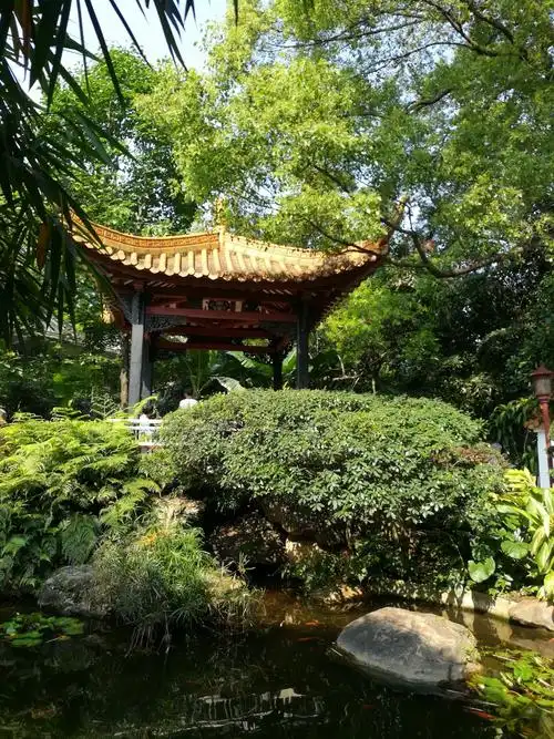 2017.4.28曰重游广州兰圃,今日是周五是兰圃路新疆农贸集市曰,每周就