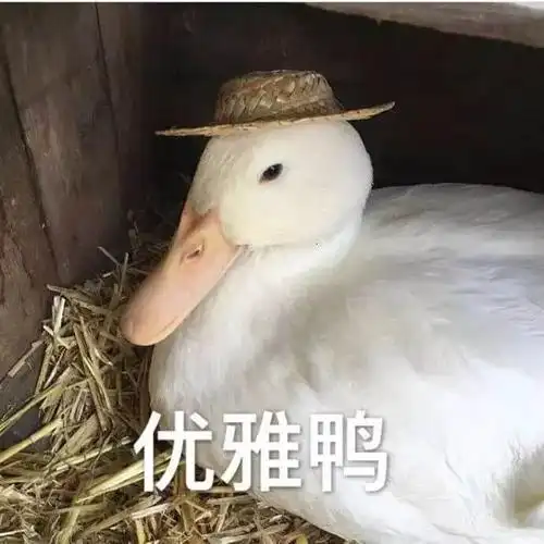 优雅狗狗表情包素材搞笑图片表情