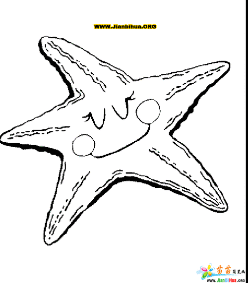 第9张幼儿简笔画步骤图 海星海底世界里海星的简笔画怎么画,步骤图