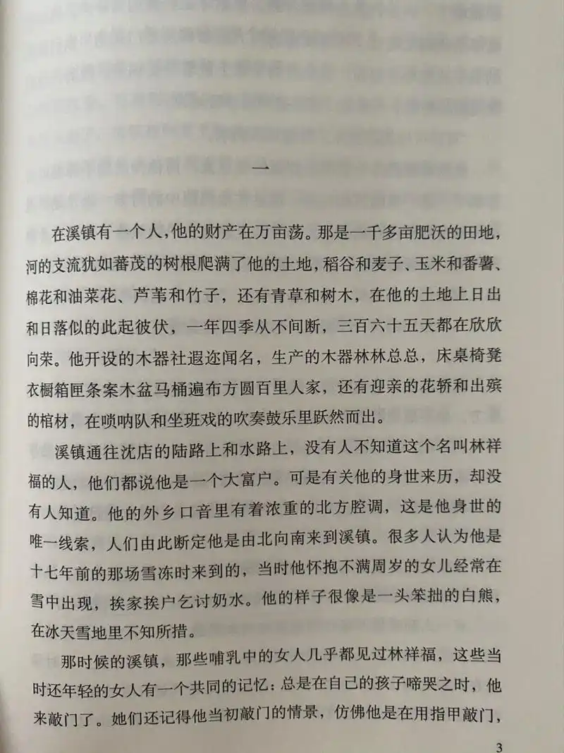 故事背景设定在清末,一个叫林祥福的男人背井离乡