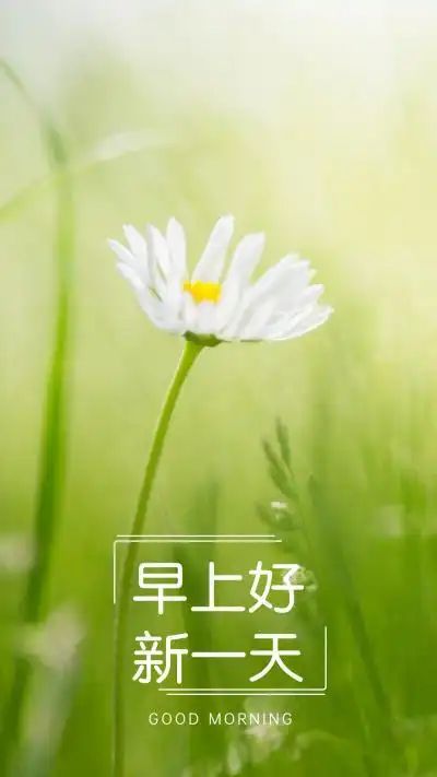 早安问候唯美图片带字