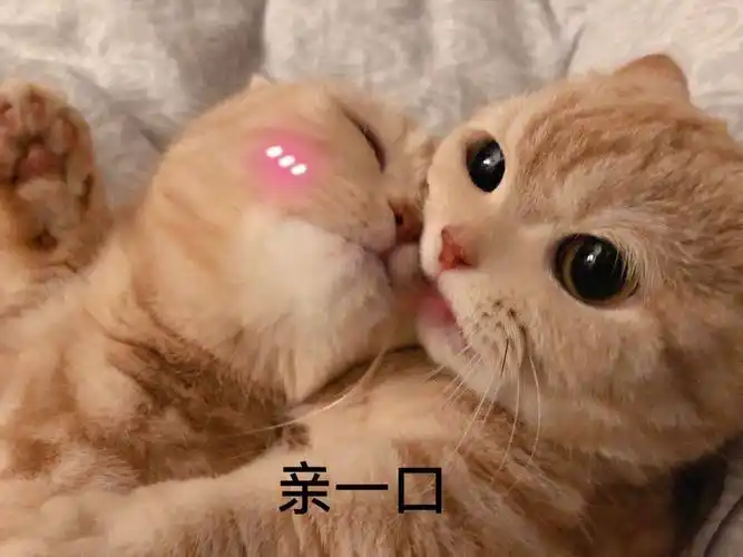 女朋友来姨妈的时候,聊天用的暖心表情包有哪些? - 知乎