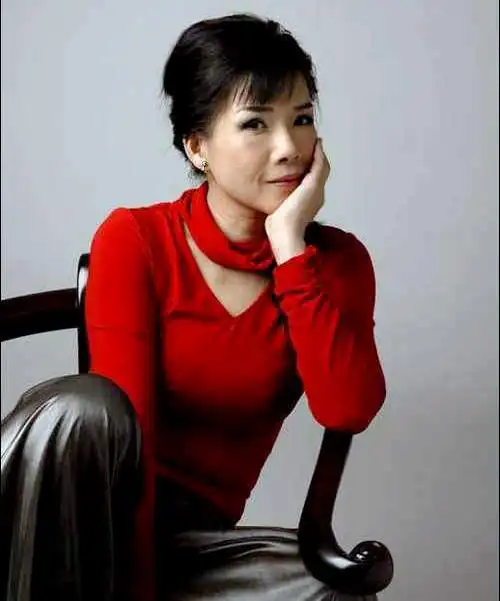 粉红色的回忆—台湾歌手韩宝仪歌曲精选【36s】