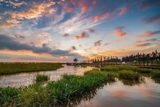 在张家港市,晚霞映照下的江湾,处处是美景
