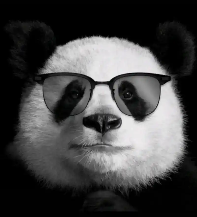 个性微信男头像