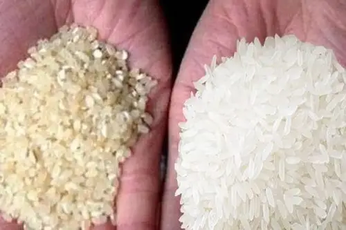 别以为做熟了就能放松警惕,变质的米饭也是最容易产生黄曲霉毒素的!