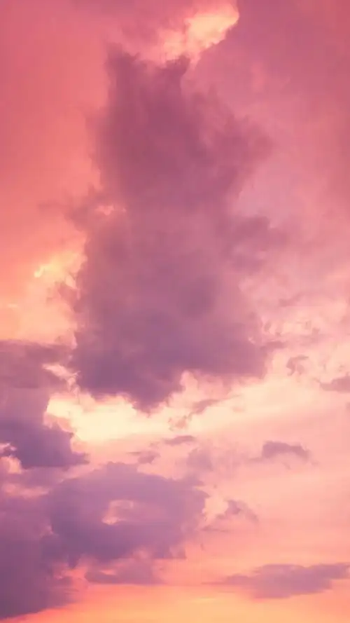 700_1244竖版 竖屏