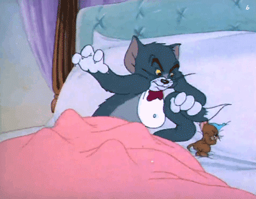 汤姆猫杰瑞鼠抢被子