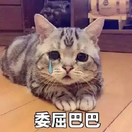 萌宠gif猫星人gif委屈巴巴gif不开心gif搞怪gif呆萌gif