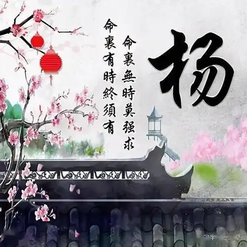 【每日一姓】百家姓,姓氏头像之杨