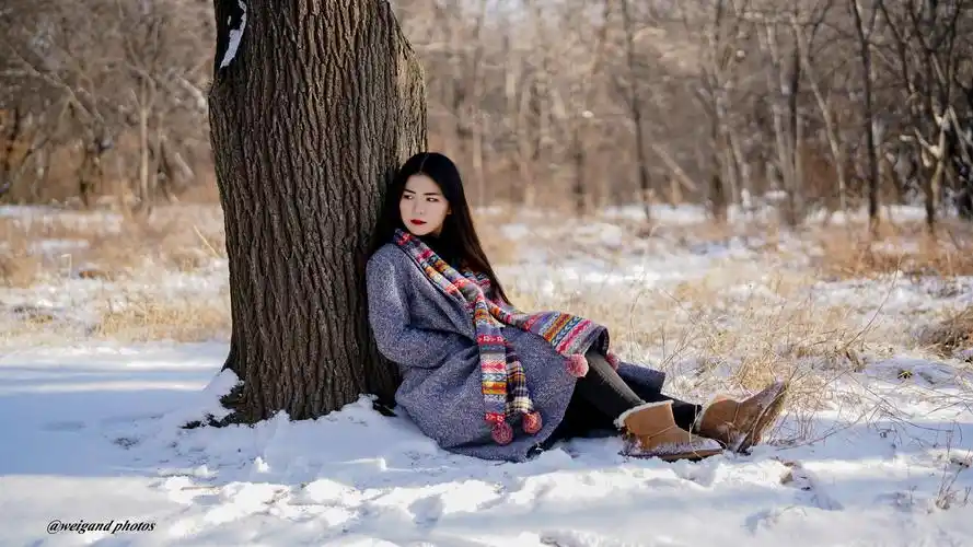 冬季无雪不成景