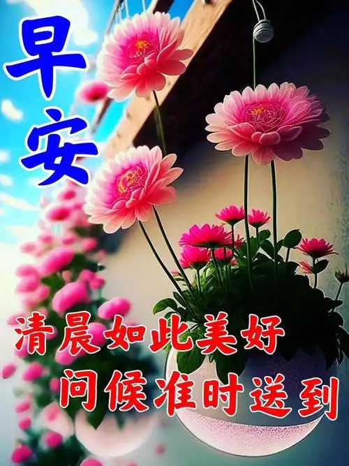 早安祝福问候图片,早上好祝福问候漂亮图片|快乐|清晨|幸福_网易订阅