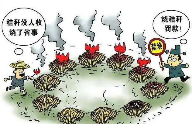 禁养,禁烧等农村五大禁令,真有必要吗?对此您怎么看?