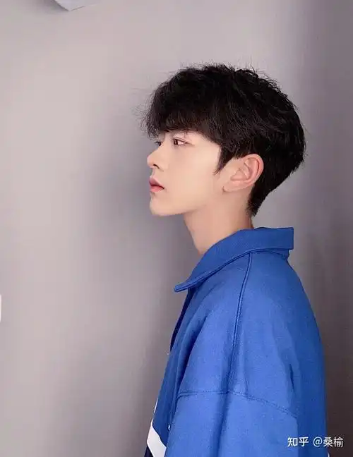 男生脸小剪什么发型