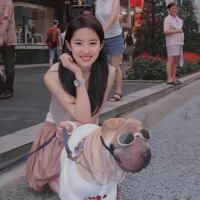 原来这些火爆的头像全都是刘亦菲|||一天一个微信头像 支付宝用刘亦菲