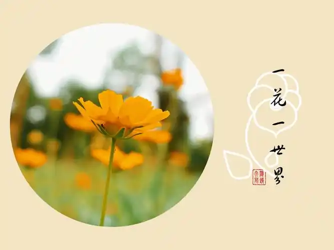 一花一世界一叶一菩提